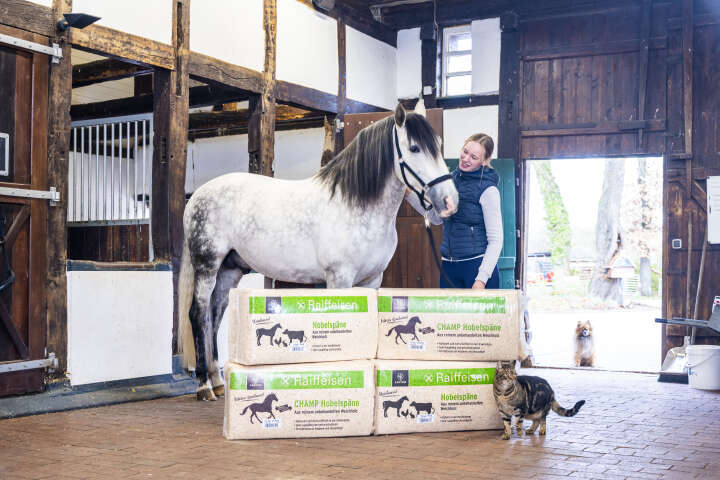 KANTRIE Hobelspäne Profi